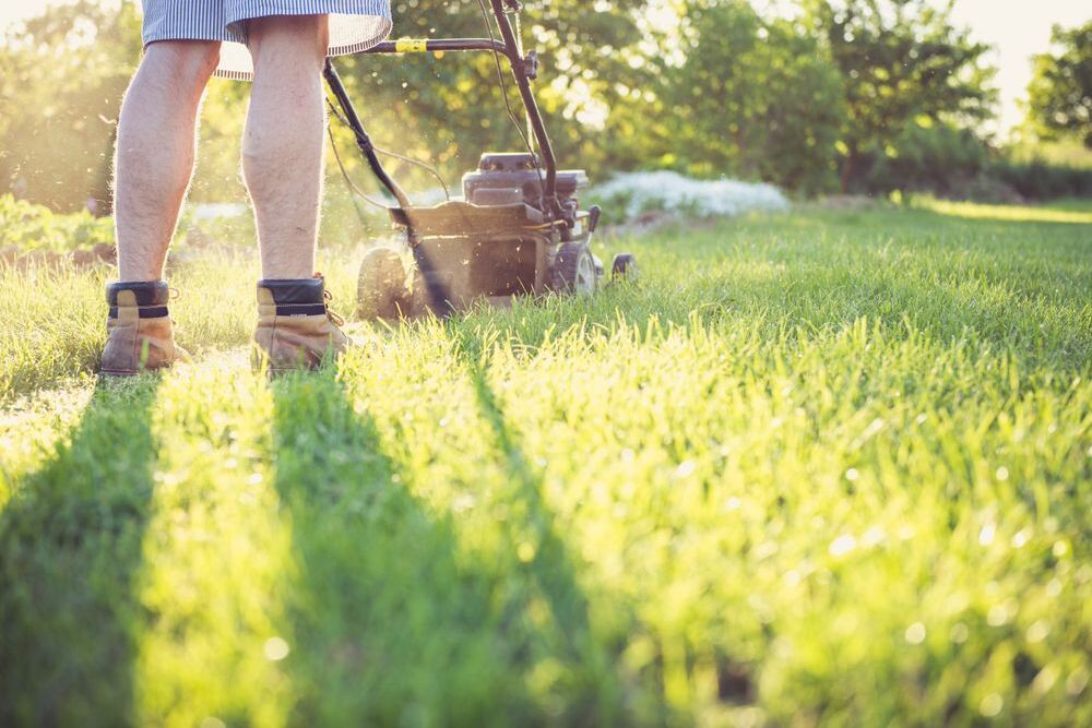 Operator walking a push mower along a mown strip of lawn in warm evening light, cut stripes visible behind
