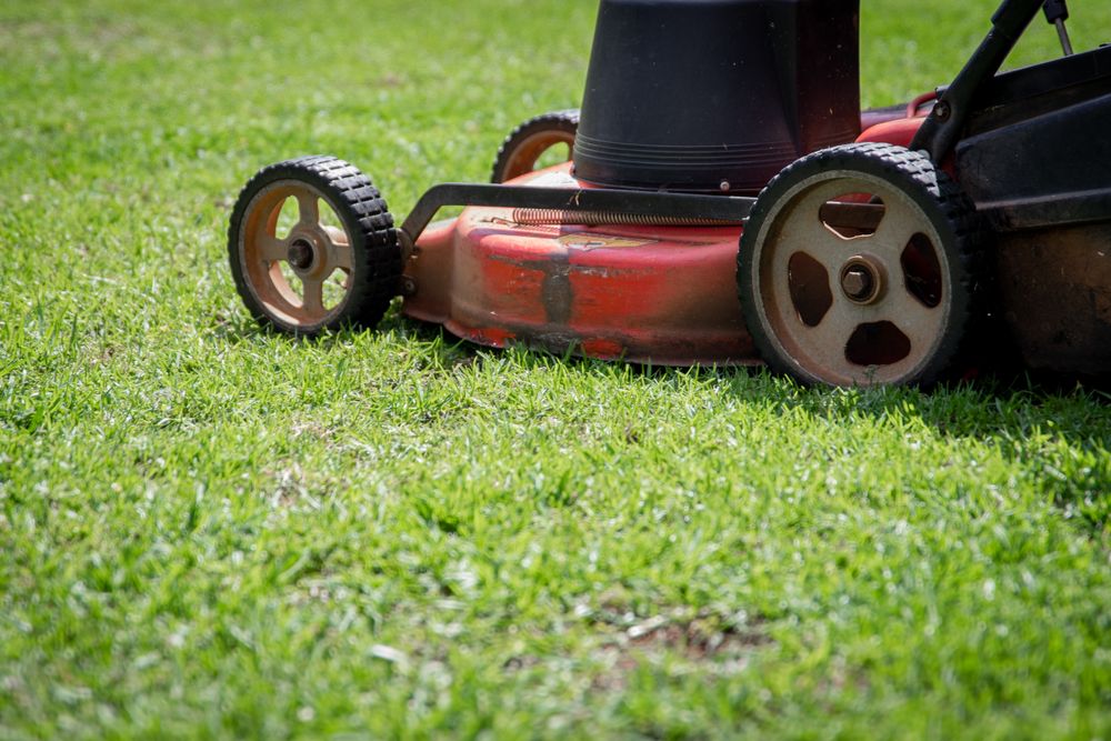 Close-up of a red mower deck working through damp green turf, cut grass collecting behind the wheels