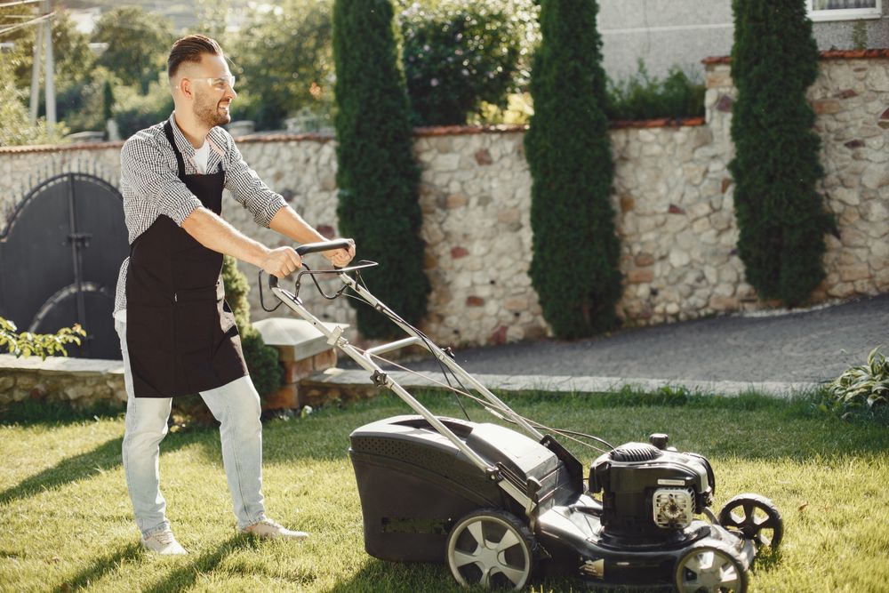Operator in a work apron pushing a petrol push mower along a lawn beside a clipped stone wall and conifers